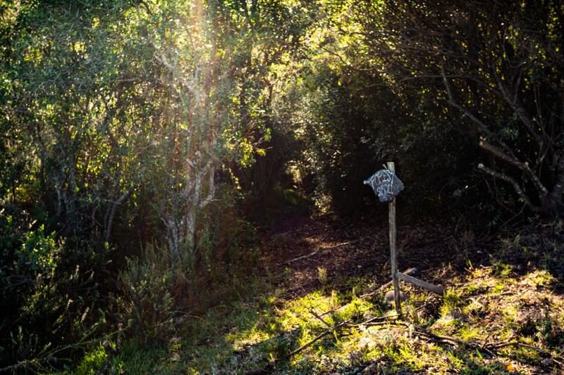 5 Bedroom Property for Sale in The Crags Western Cape